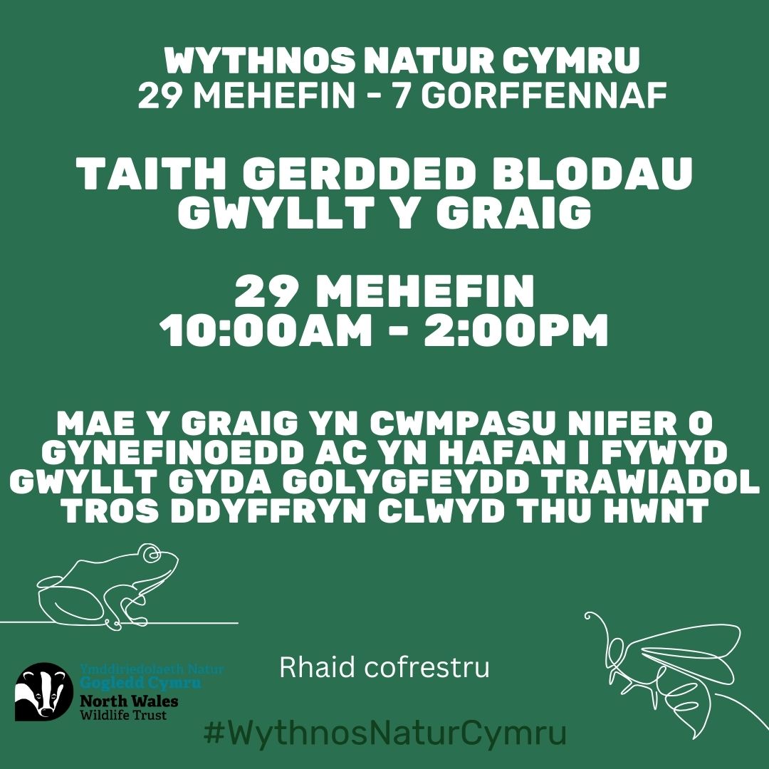 Taith Gerdded Blodau Gwyllt Y Graig